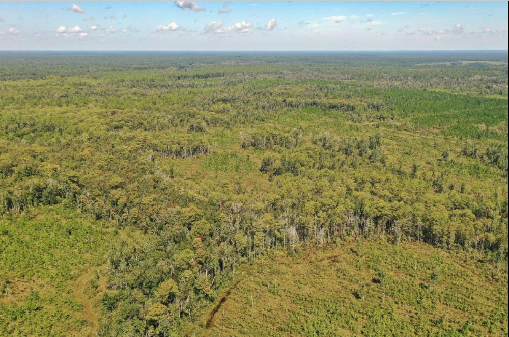 a photo of the property at Owa Pass, Tallahassee, FL 32327